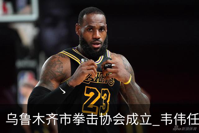 乌鲁木齐市拳击协会成立 韦伟任会长